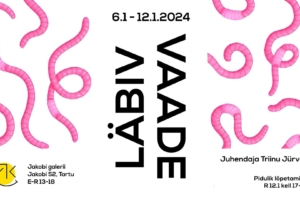 LÄBIV VAADE | Kunstiõpetajate kaasaegse kunsti kursuse loominguliste projektide näitus