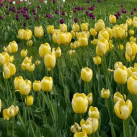 Õppetasu muudatus alates 01. september 2026. aastal