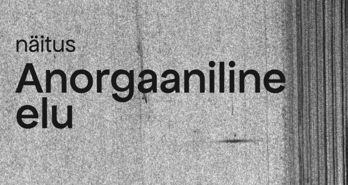 ANORGAANILINE ELU | Paul Rannik