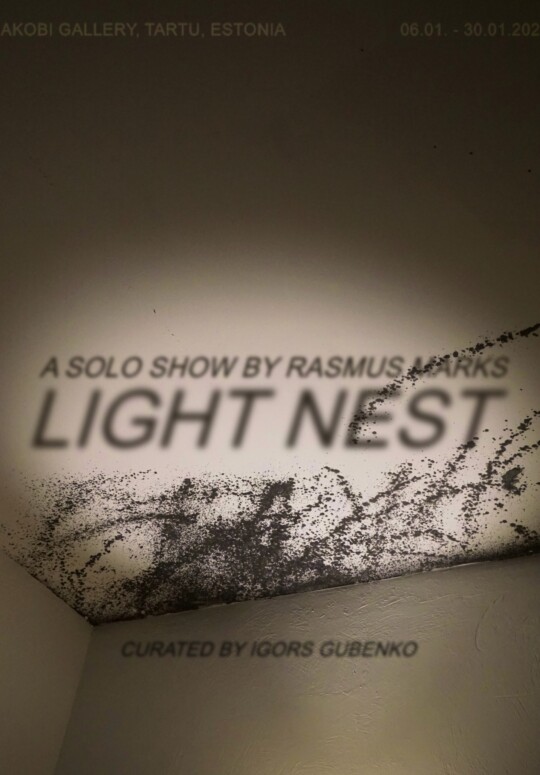 thumbnail_LIGHT-NEST-digital