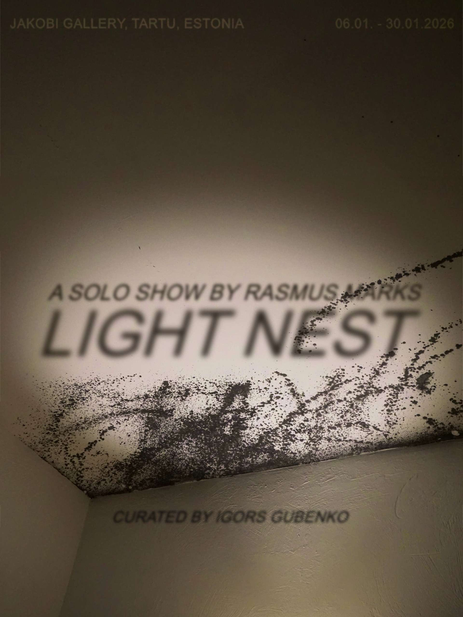 6. jaanuaril kell 17.00 avab Rasmus Marks Jakobi galeriis näituse “Valguspesa”. Oma esimesel isikunäitusel Eestis muudab kunstnik Jakobi galerii rekonstrueeritu