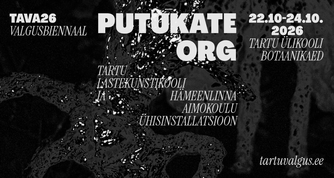 Putukate Org | Tartu Lastekunstikooli ja Hämeenlinna Aimokoulu ühisinstallatsioon