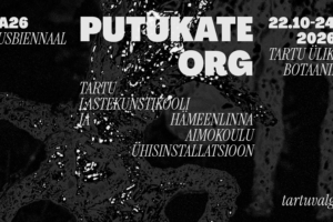 Putukate Org | Tartu Lastekunstikooli ja Hämeenlinna Aimokoulu ühisinstallatsioon